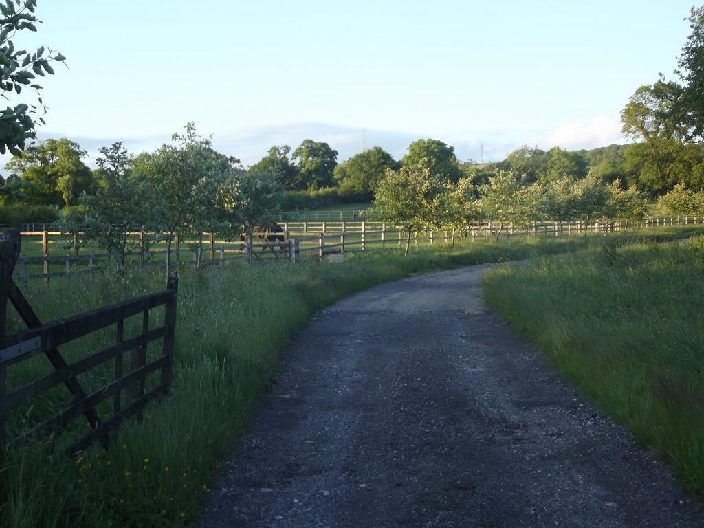 Pleck Barn Bed & Breakfast Ansty  Bagian luar foto